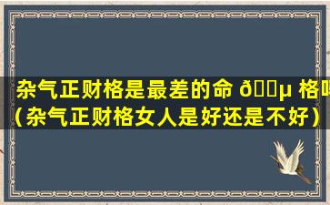 杂气正财格是最差的命 🐵 格吗（杂气正财格女人是好还是不好）